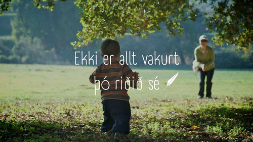 Ride a Rough Horse Before You Buy a Ferrari