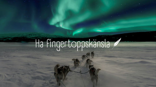 The Invisible Skill: "Fingertip Feeling" is Your Greatest Career Asset