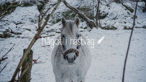 Celebrating the Extraordinary