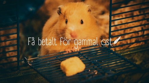 Revenge is Best Served as Old Cheese