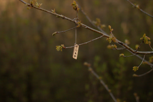 Younger Futhark in Sweden