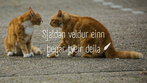 The Architecture of Conflict: Blame, Balance, and the Aggressor