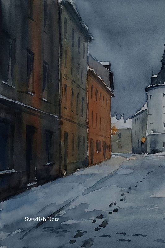 Book cover of 'Swedish Grammar Practice Book' with a snowy street scene illustration.