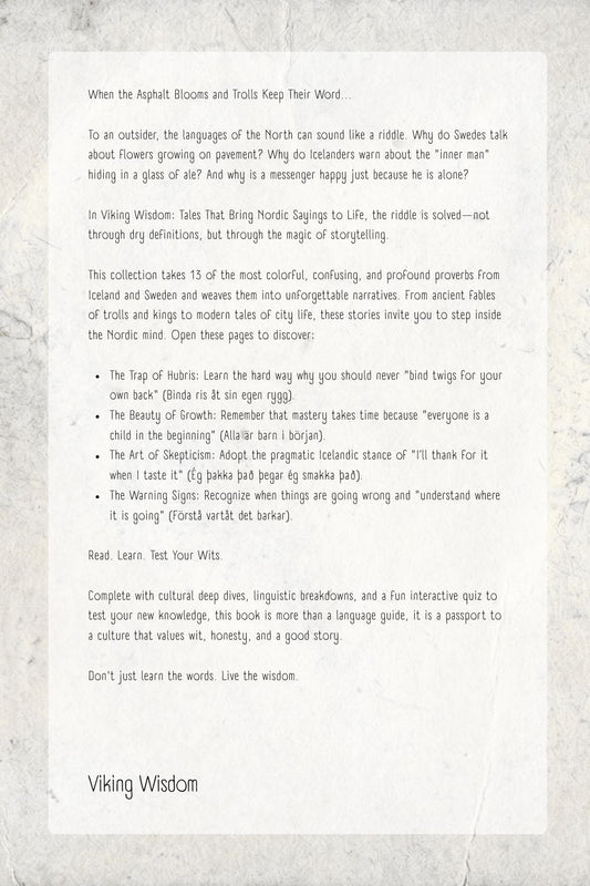 Book cover of 'Viking Wisdom' with illustrations of a Viking and a gnome on a textured background.