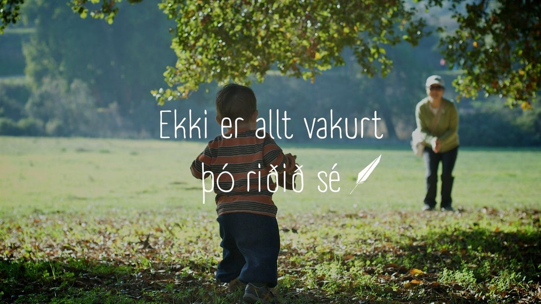 Ride a Rough Horse Before You Buy a Ferrari