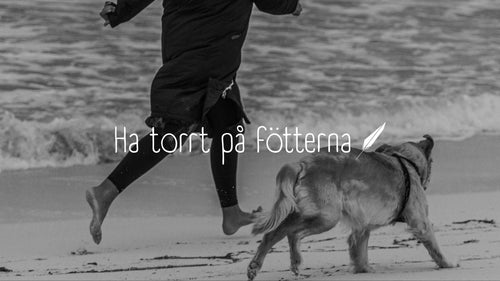 Stay Grounded in the Storm