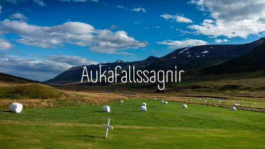 The "Me" Verbs: Mastering Aukafallssagnir in Icelandic