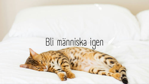 The Simple Magic of Becoming Human Again