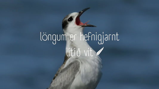 Smart People Don’t Seek Revenge: The Art of Letting Go