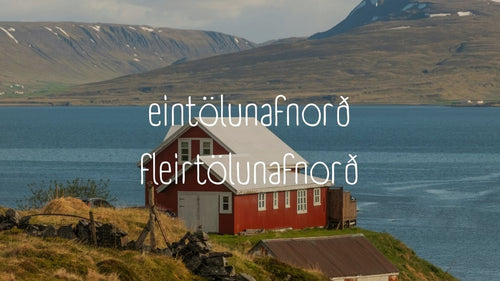 Singular-Only and Plural-Only Noun in Icelandic