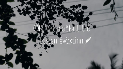 Often a Tree With Few Leaves Bears the Best Fruit