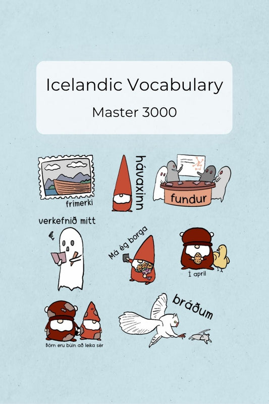 Icelandic Vocabulary Master 3000 book cover.