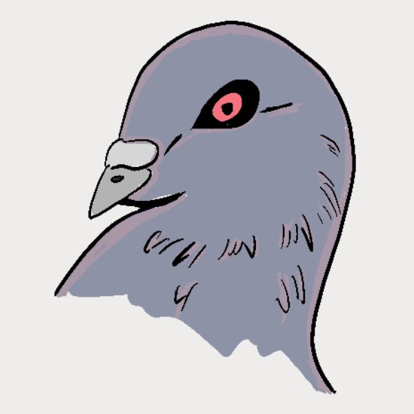 A stylized illustration of a pigeon head in profile, with a gray body, black outline, white beak area, and a pink eye on a light gray background.
