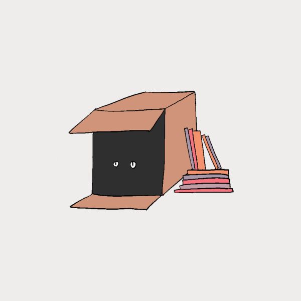 Illustration of a black cat inside a cardboard box with books on a light pink background