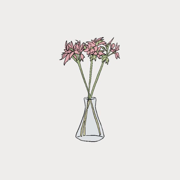 Clear glass vase with pink flowers on a light gray background. Björn and Sveinn - DSGN