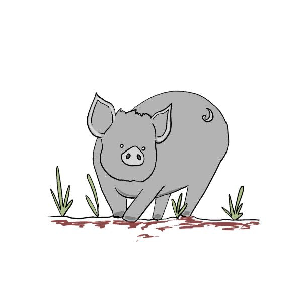 A simple cartoon illustration of a gray pig standing on a patch of ground with a few green blades of grass
