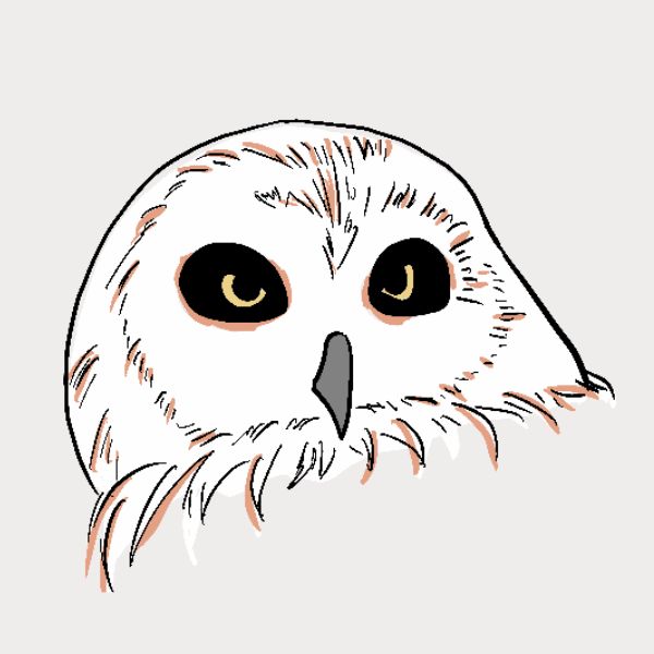 A minimalist line art illustration of a snowy owl's head, featuring white feathers, large black eyes with yellow irises, and a gray beak, set against a solid light gray background.