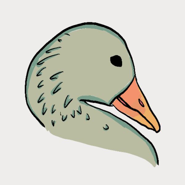 A minimalist line art illustration of a grágæs head in profile, featuring a muted sage green body, a peach-orange beak, and a small black eye on a light gray background.