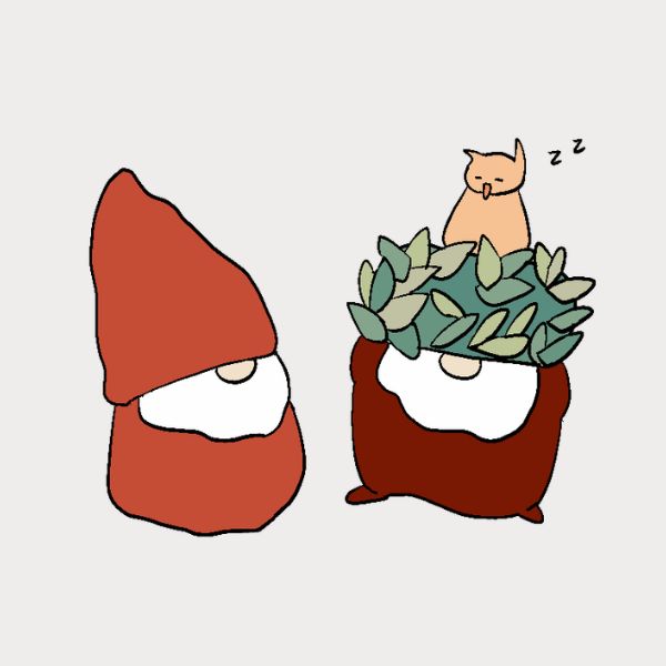 A owl sleeping on Björn's head and Sveinn is watching