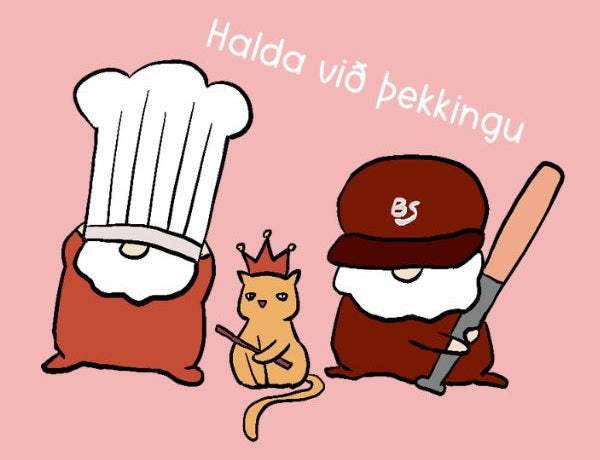With outfit and internet, everyone can be a professional on social medias. Björn becomse a baseball player and Sveinn becomes a chef. Their cat becomes the king.