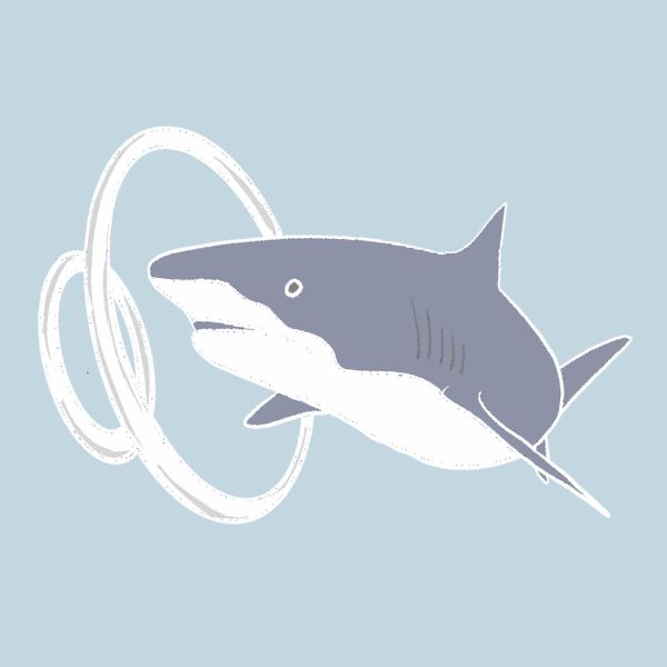 A minimalist illustration of a gray and white shark swimming to the right, with a white ring floating to its left, on a light blue background.