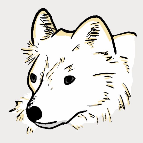 A minimalist line art illustration of a white fox head with black outlines and light beige shading.