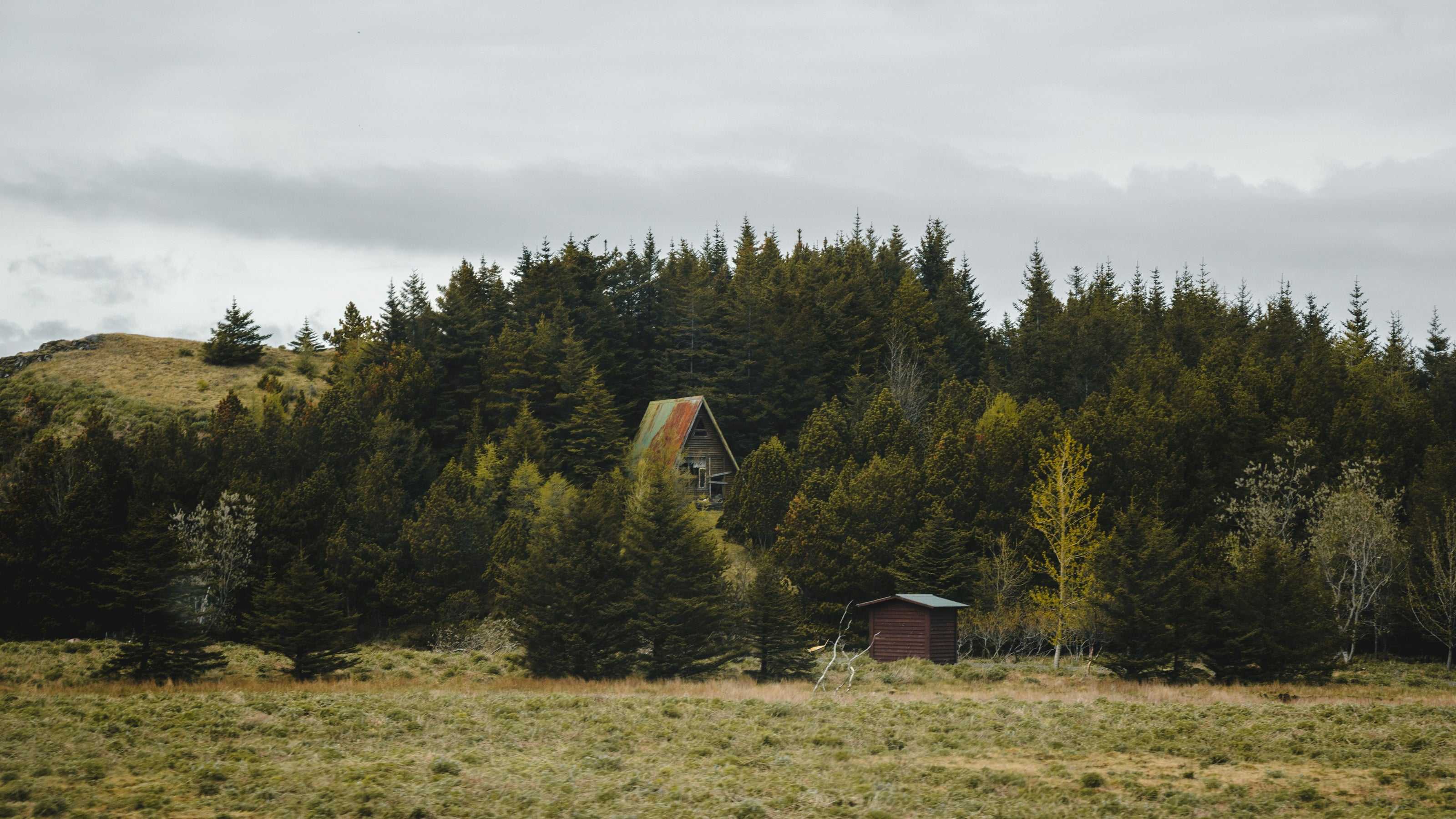 A scenic landscape photograph of a small cabin nestled in a dense evergreen forest, with a grassy field in the foreground under an overcast cloudy sky.