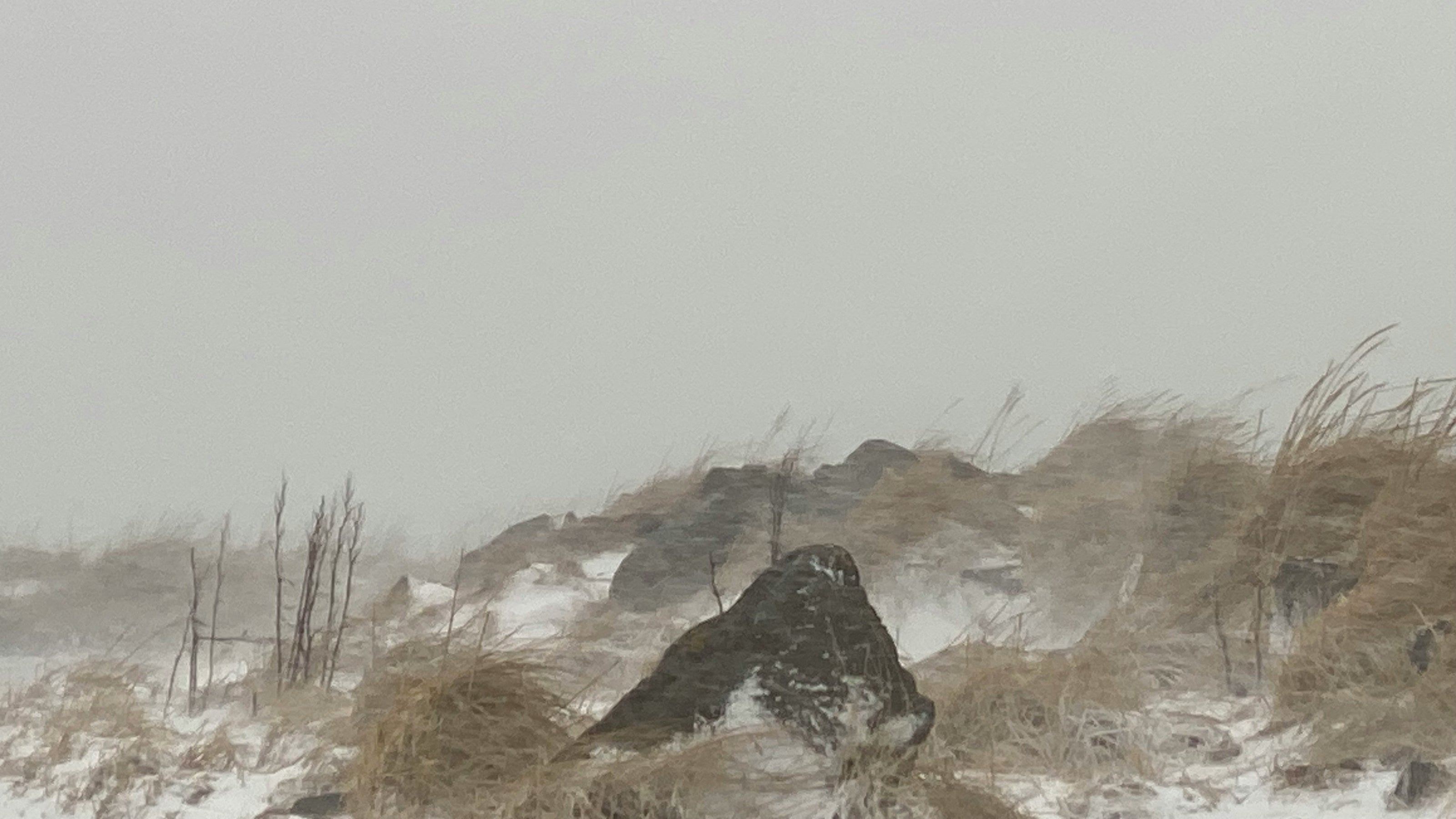 A misty winter landscape with dry brown grasses, small rocks, and patches of snow under an overcast gray sky.