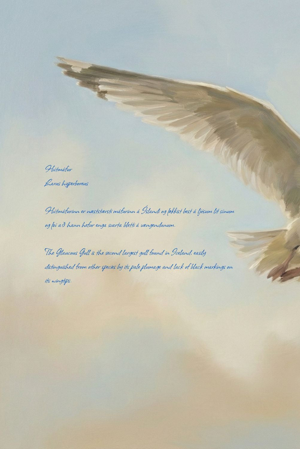 Seagull flying against a soft, blurred background with text overlay