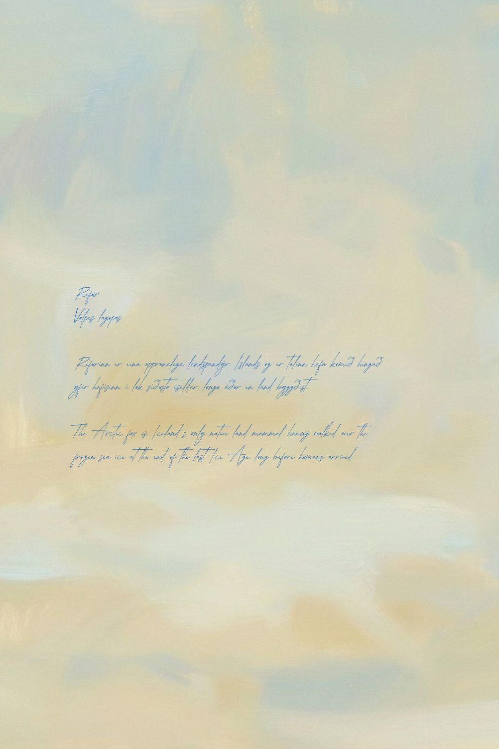 White wolf standing on a snowy landscape with soft lighting