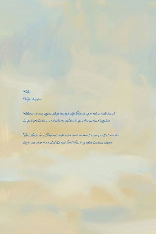 White wolf standing on a snowy landscape with soft lighting