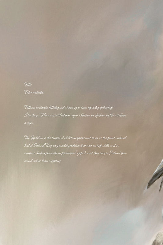 Falcon perched on a rock with a blurred natural background