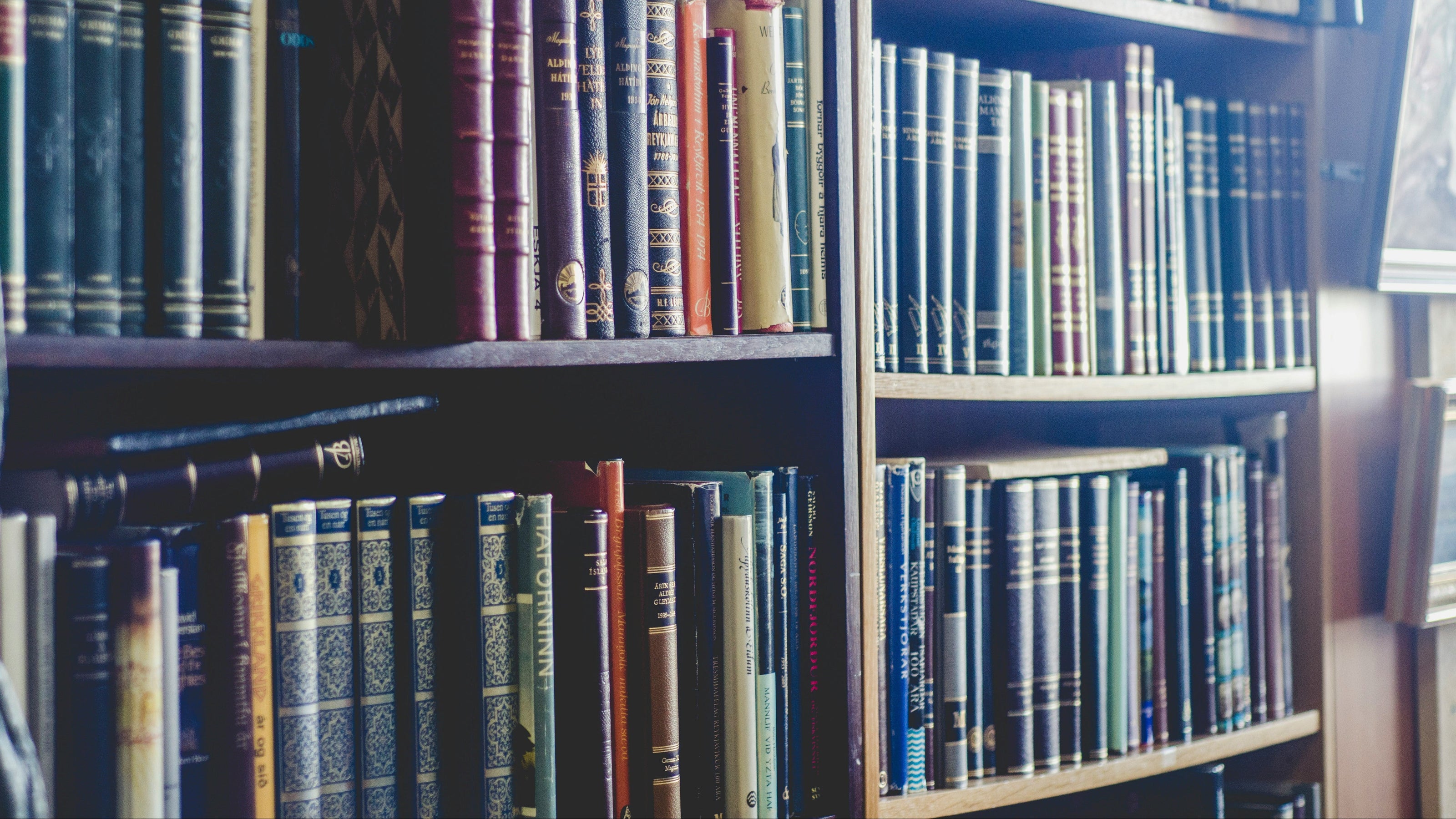 A close-up view of a dark wooden bookshelf filled with numerous hardcover books in blue, purple, red, and gold-toned spines, set in a softly lit library-like environment.